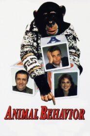 Animal Behavior 1989 one on netflix