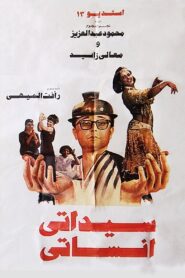 Sayidati Anisati 1990 one on netflix