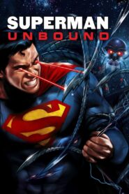 Superman: Unbound 2013 one on netflix