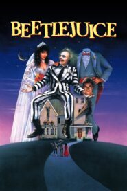 Beetlejuice 1988 one on netflix