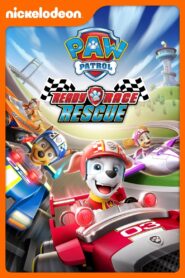 PAW Patrol: Ready, Race, Rescue! 2019 one on netflix