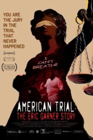 American Trial: The Eric Garner Story 2020 one on netflix