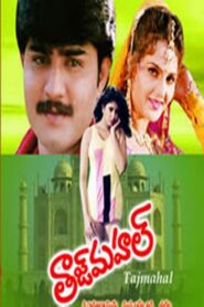 Taj Mahal 1995 one on netflix