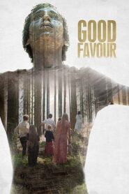 Good Favour 2018 one on netflix