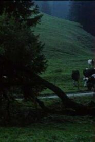 A Peasant Chronicle in Gruyère 1990 one on netflix