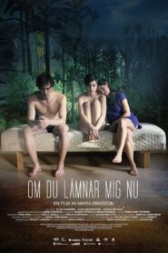 If You Leave Me Now 2014 one on netflix