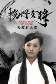 杨门女将之天波府风波 2001 one on netflix