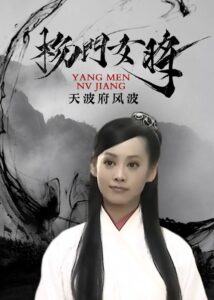 杨门女将之天波府风波 2001 one on netflix
