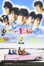 Checkers in Tan Tan tanuki 1984 one on netflix