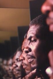 Hallelujah Anyhow 1991 one on netflix
