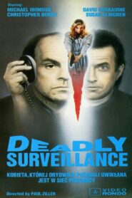 Deadly Surveillance 1991 one on netflix