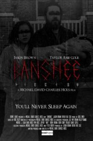 Banshee 2022 one on netflix