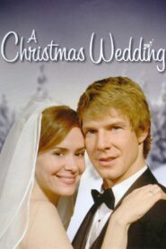 A Christmas Wedding 2006 one on netflix