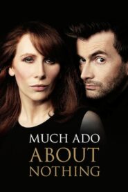 Much Ado About Nothing 2011 one on netflix