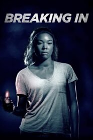 Breaking In 2018 one on netflix