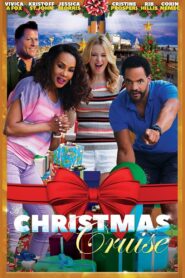 A Christmas Cruise 2017 one on netflix