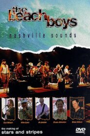 The Beach Boys: Nashville Sounds 1996 one on netflix