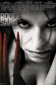 The Storm Within 2013 one on netflix