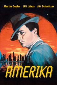 Amerika 1994 one on netflix