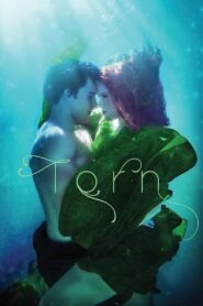 Torn 2022 one on netflix