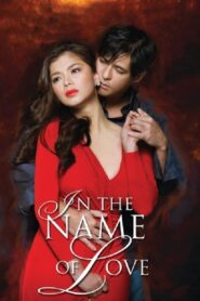 In the Name of Love 2011 one on netflix
