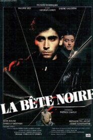 La Bête noire 1983 one on netflix