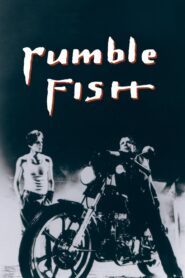 Rumble Fish 1983 one on netflix