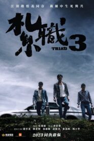 Triad 3 2024 one on netflix