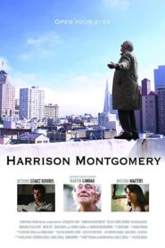 Harrison Montgomery 2008 one on netflix