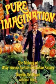 Pure Imagination: The Story of ‘Willy Wonka & the Chocolate Factory’ 2001 one on netflix