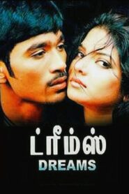 Dreams 2004 one on netflix
