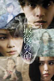 Saigo no Inochi 2014 one on netflix