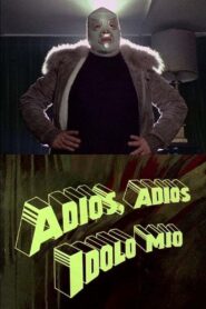 Adiós, adiós ídolo mío 1985 one on netflix