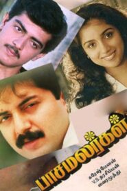 Paasamalargal 1994 one on netflix