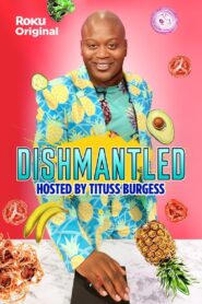 Dishmantled 2020 one on netflix