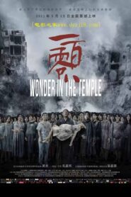Wonder in the Temple 2021 one on netflix