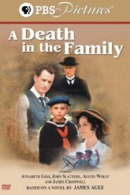 A Death in the Family 2002 one on netflix