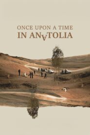 Once Upon a Time in Anatolia 2011 one on netflix