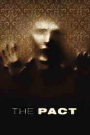 The Pact 2012 one on netflix