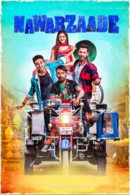Nawabzaade 2018 one on netflix