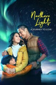 Northern Lights: A Journey to Love 2017 one on netflix