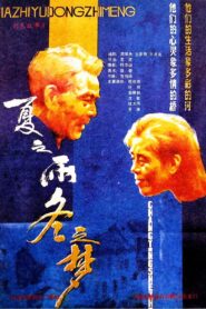 夏之雨 冬之梦 1987 one on netflix