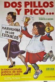 Dos pillos y pico 1981 one on netflix
