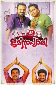 Jamnapyari 2015 one on netflix