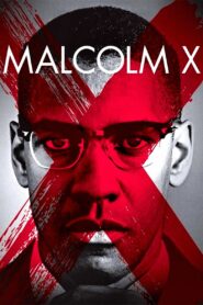Malcolm X 1992 one on netflix