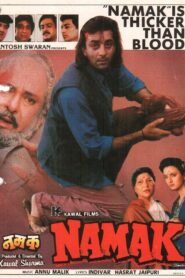Namak 1996 one on netflix