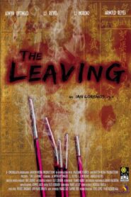The Leaving 2010 one on netflix