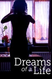Dreams of a Life 2011 one on netflix