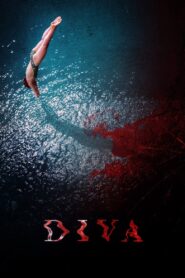 Diva 2020 one on netflix