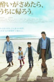 Wandering Home 2010 one on netflix